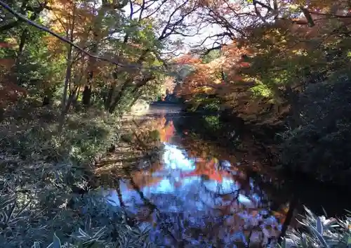 明治神宮の自然