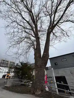龍宮神社(北海道)