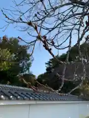 彌都加伎神社の自然