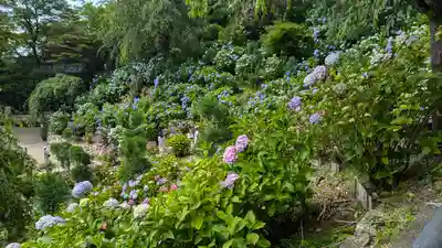 善峯寺(京都府)