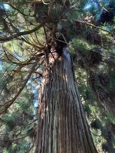 八柱神社(長野県)