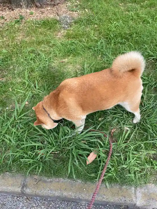 笠䅣稲荷神社(神奈川県)