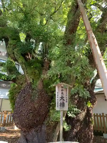 富知六所浅間神社の自然