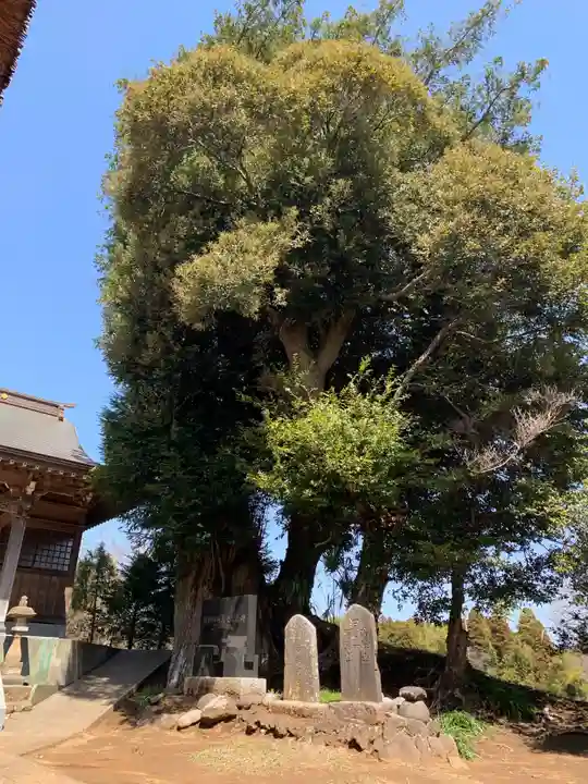 熊野神社(千葉県)