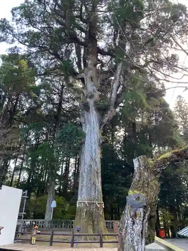 霧島神宮(鹿児島県)