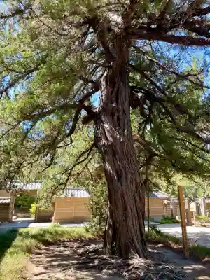 円覚寺(神奈川県)
