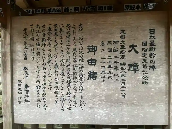 來宮神社(静岡県)