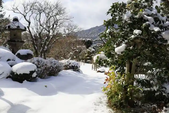 実光院(京都府)