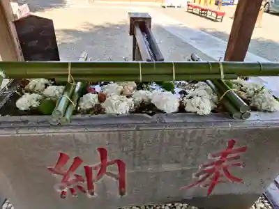 草加神社(埼玉県)