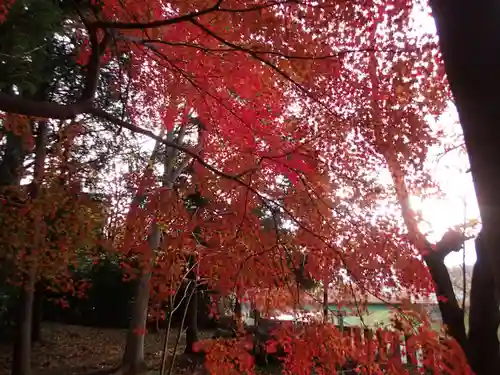 河俣神社の景色