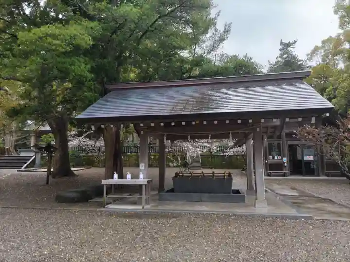 安房神社の手水舎