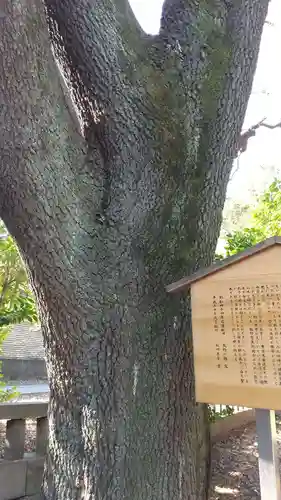 湯島聖堂(東京都)
