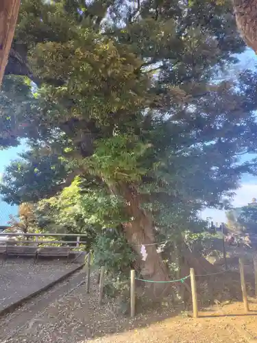 九重神社(埼玉県)