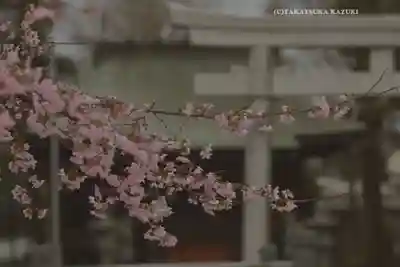 今泉神社(神奈川県)