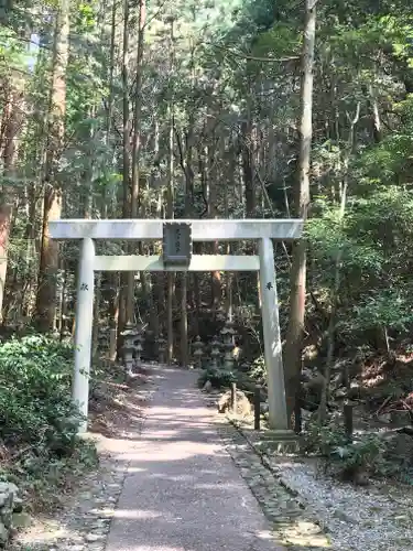 天の岩戸神社の鳥居