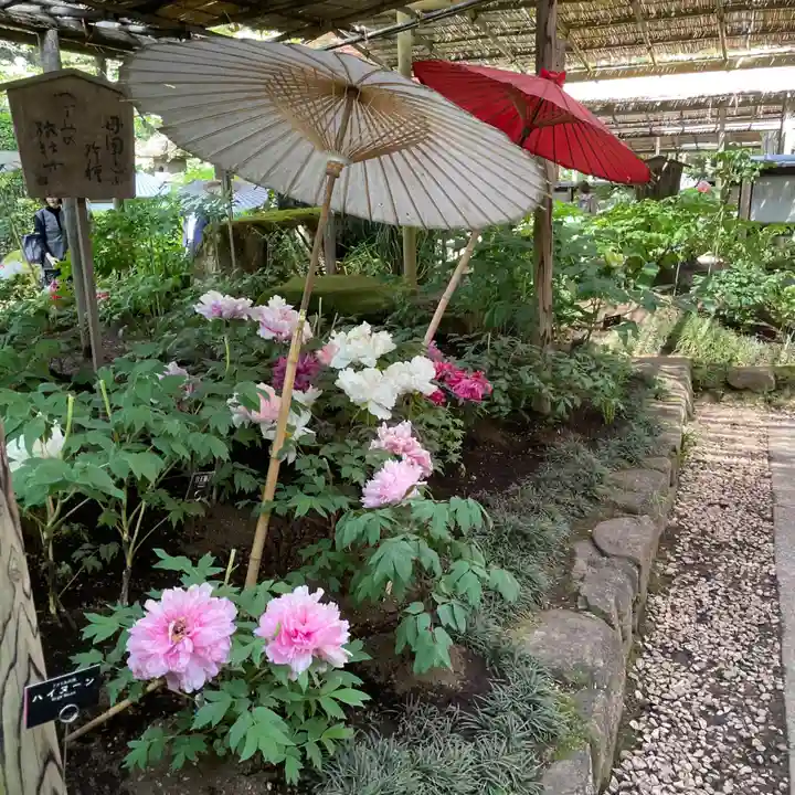 上野東照宮(東京都)