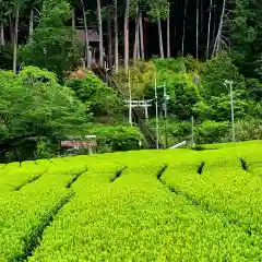 六所神社の鳥居