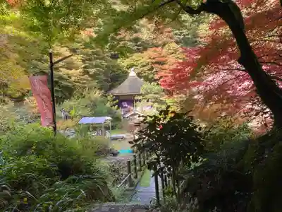 龍蔵寺(兵庫県)
