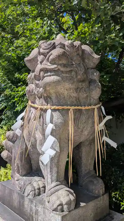 堀越神社(大阪府)