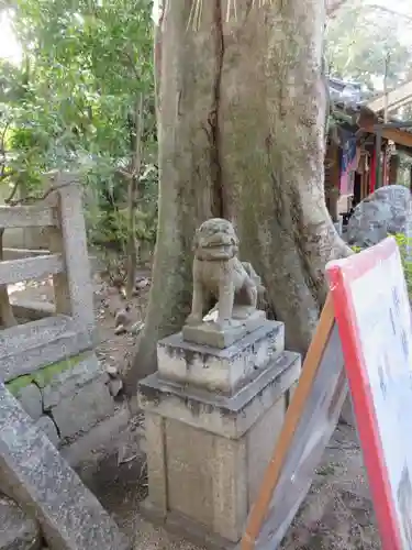 白峯神宮の狛犬