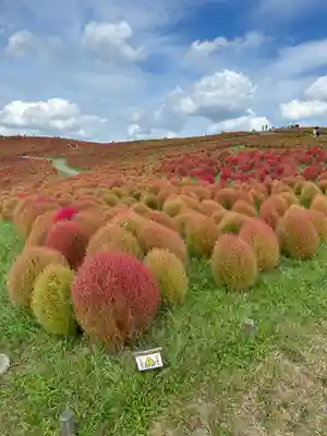一乗院(身代不動尊) (茨城県)