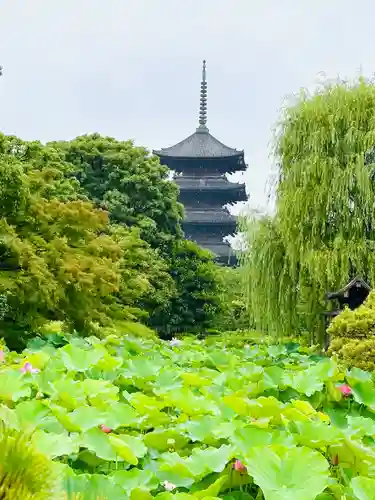 東寺（教王護国寺）(京都府)