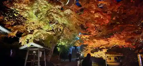 宝蔵寺(福島県)