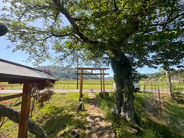 稲荷神社(京都府)