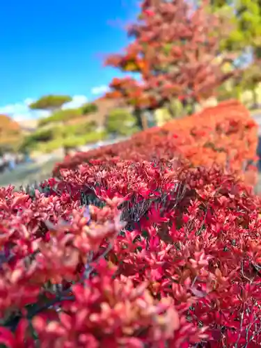 湯島天満宮(長野分社)(長野県)