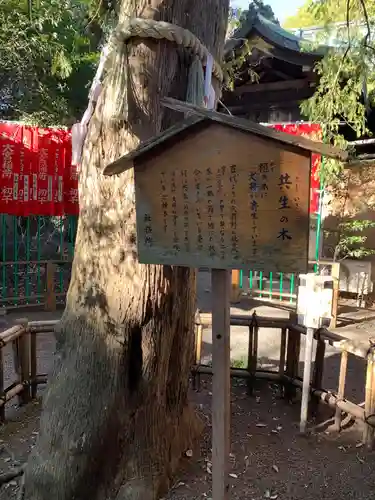 大宮八幡宮の歴史