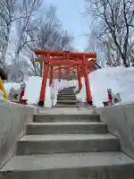 清田稲荷神社の{uncategorized: "未分類", other: "その他", undefined: "問題あり", building: "その他建物", grave: "お墓", sacred_gate: "鳥居", guardian: "狛犬", statue: "像", buddha: "仏像", history: "歴史", nature: "自然", garden: "庭園", animal: "動物", pagoda: "塔", temizu: "手水舎", mountain_gate: "山門・神門", sanctuary: "本殿・本堂", subordinate: "末社・摂社", art: "芸術", scenery: "景色", jizo: "地蔵", ema: "絵馬", goshuin: "御朱印", omikuji: "おみくじ", items: "授与品その他", amulet: "お守り", goshuincho: "御朱印帳", eats: "食事", festival: "お祭り", votive_dance: "神楽", shichigosan: "七五三参", wedding: "結婚式", experience: "体験その他", initially: "初詣", around: "周辺", anti_infection: "感染症対策"}