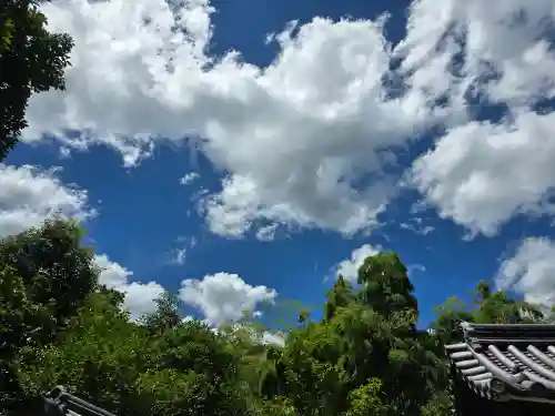 直指庵(京都府)