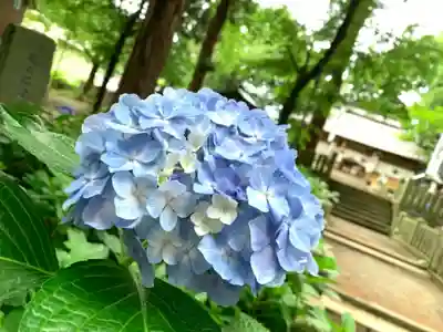 飯笠山神社(長野県)