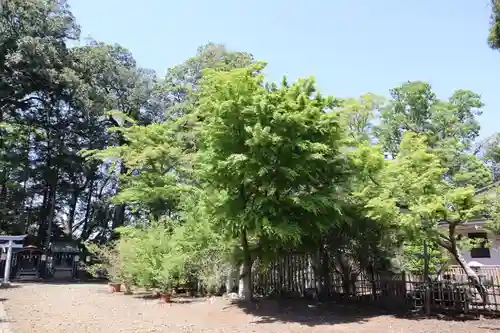 須賀神社の庭園