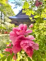 蚊里田八幡宮(長野県)