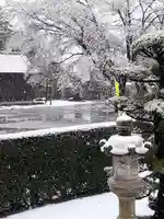 伏木香取神社の自然