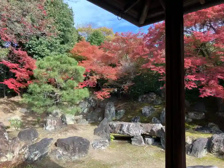 圓徳院(京都府)