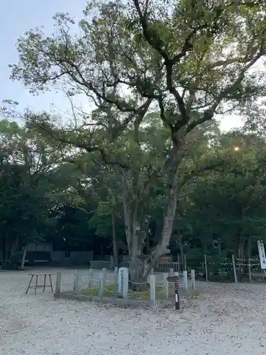 伊弉諾神宮の自然