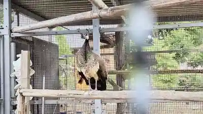 神明宮(栃木県)