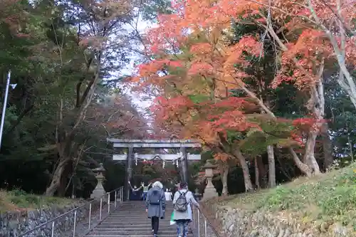 大原野神社の鳥居