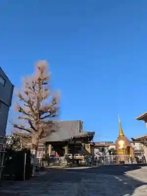 福王山  慈眼寺(東京都)