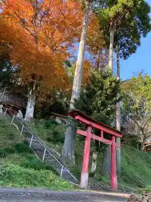 熱田神社の自然