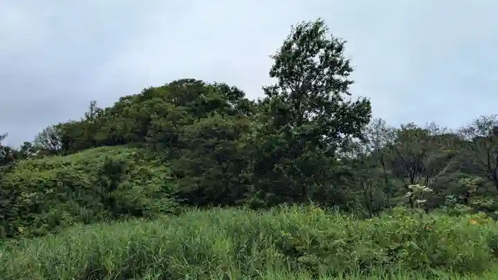 臼谷稲荷神社の自然