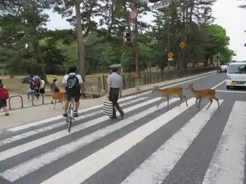 興福寺(奈良県)