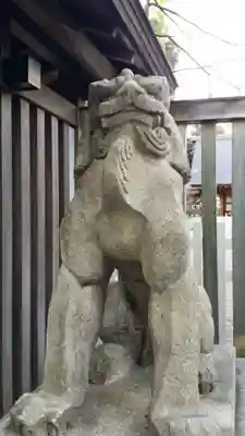 乃木神社の狛犬