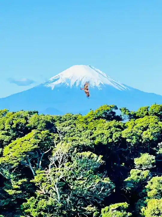 奉安殿(江島神社)の{uncategorized: "未分類", other: "その他", undefined: "問題あり", building: "その他建物", grave: "お墓", sacred_gate: "鳥居", guardian: "狛犬", statue: "像", buddha: "仏像", history: "歴史", nature: "自然", garden: "庭園", animal: "動物", pagoda: "塔", temizu: "手水舎", mountain_gate: "山門・神門", sanctuary: "本殿・本堂", subordinate: "末社・摂社", art: "芸術", scenery: "景色", jizo: "地蔵", ema: "絵馬", goshuin: "御朱印", omikuji: "おみくじ", items: "授与品その他", amulet: "お守り", goshuincho: "御朱印帳", eats: "食事", festival: "お祭り", votive_dance: "神楽", shichigosan: "七五三参", wedding: "結婚式", experience: "体験その他", initially: "初詣", around: "周辺", anti_infection: "感染症対策"}