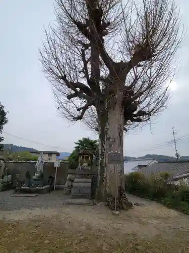 正覚院(京都府)