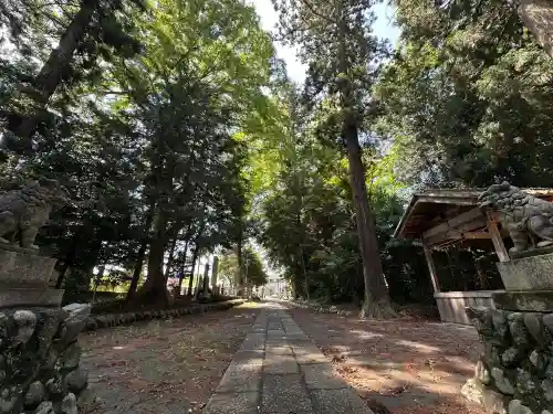 出雲乃伊波比神社(埼玉県)