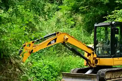 高龍神社(新潟県)