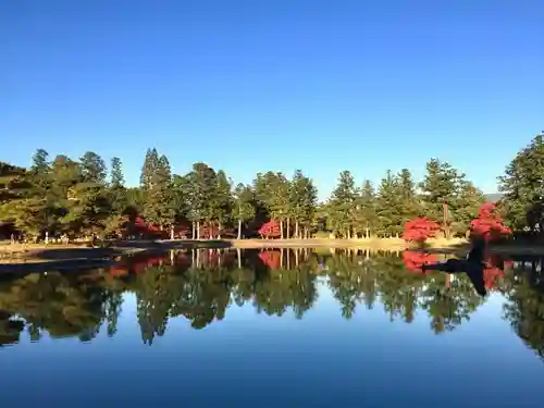 毛越寺の庭園